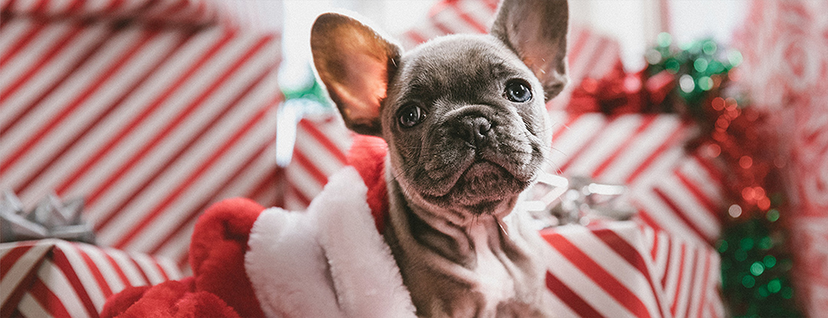 メインビジュアル1